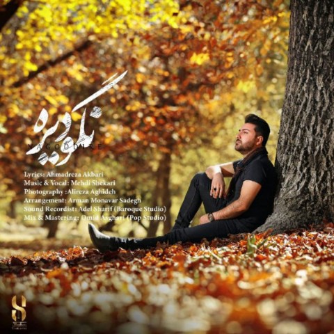 دانلود آهنگ نگو دیره از مهدی شکاری | ملودیکده دانلود آهنگ نگو دیره از {singer-fa}