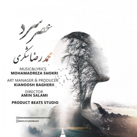 دانلود آهنگ عصر سرد از {singer-fa}
