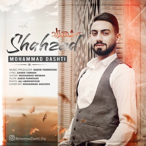 دانلود آهنگ شهزاد از محمد دشتی | ملودیکده دانلود آهنگ شهزاد از {singer-fa}