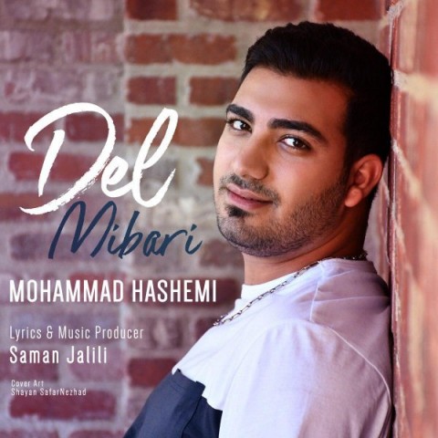 دانلود آهنگ دل میبری از محمد هاشمی | ملودیکده دانلود آهنگ دل میبری از {singer-fa}