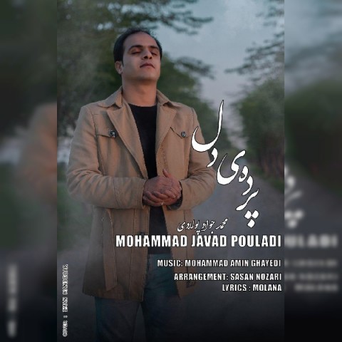 دانلود آهنگ پرده ی دل از محمد جواد پولادی | ملودیکده دانلود آهنگ پرده ی دل از {singer-fa}