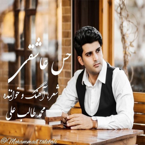 دانلود آهنگ حس عاشقی از {singer-fa}