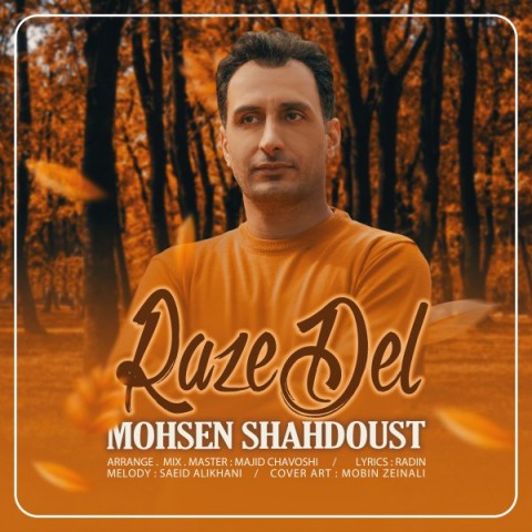 دانلود آهنگ راز دل از {singer-fa}