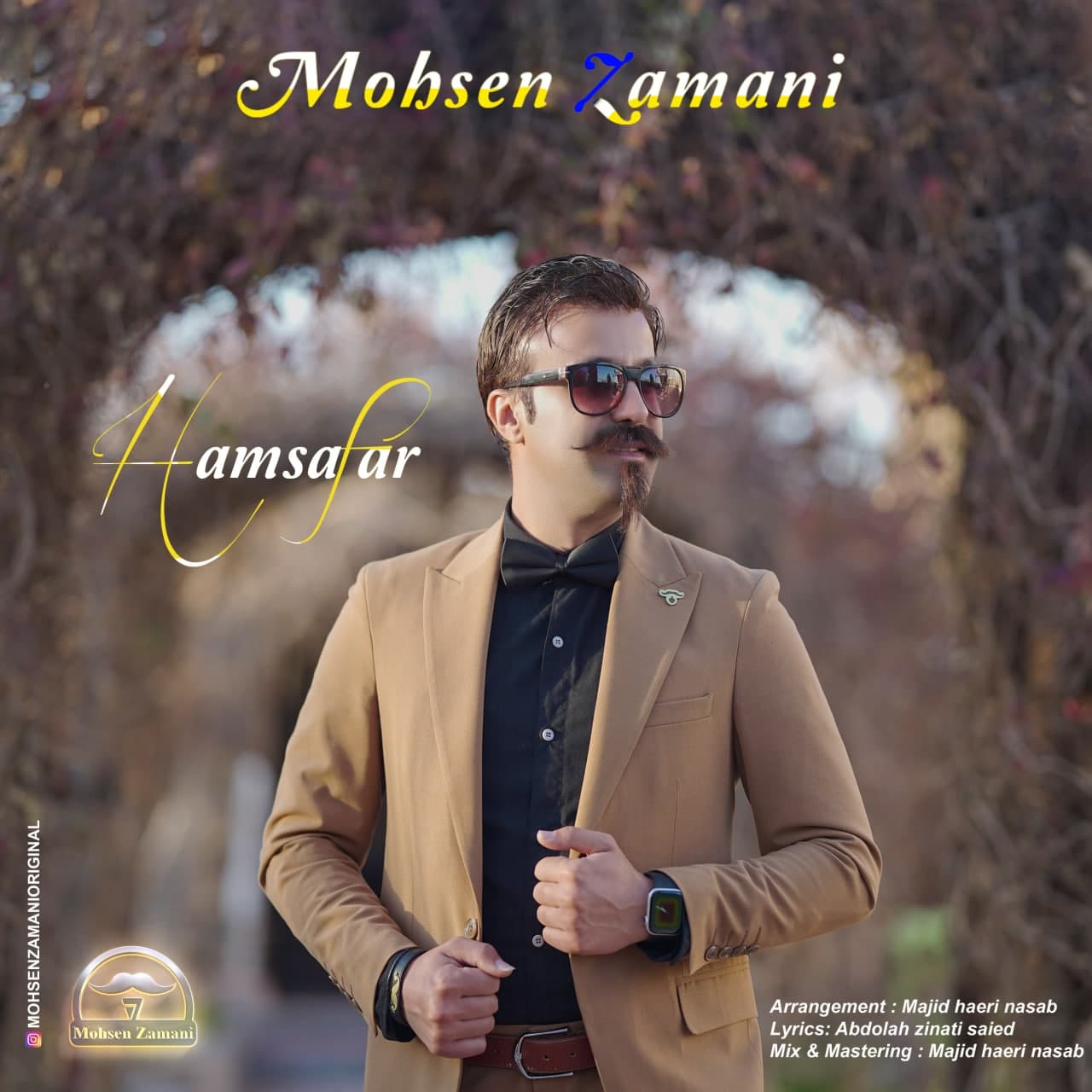 دانلود آهنگ همسفر از محسن زمانی | ملودیکده دانلود آهنگ همسفر از {singer-fa}