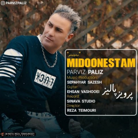 دانلود آهنگ میدونستم از پرویز پالیز | ملودیکده دانلود آهنگ میدونستم از {singer-fa}