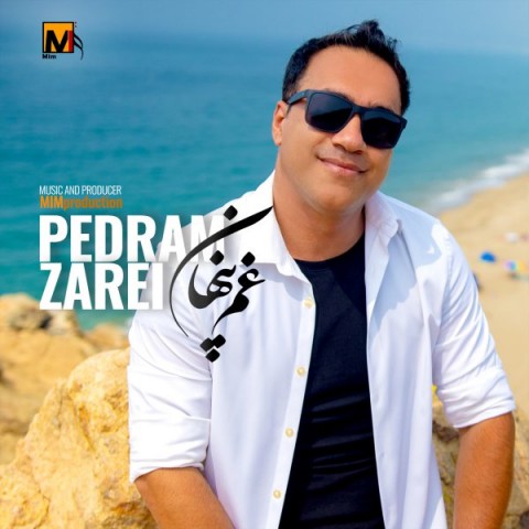 دانلود آهنگ غم پنهان از پدرام زارعی | ملودیکده دانلود آهنگ غم پنهان از {singer-fa}
