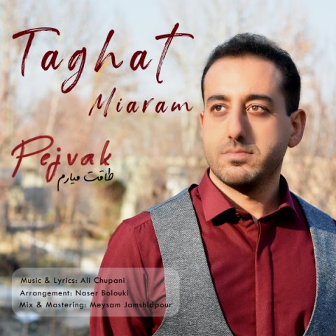 دانلود آهنگ طاقت میارم از {singer-fa}