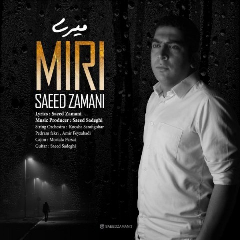 دانلود آهنگ میری از سعید زمانی | ملودیکده دانلود آهنگ میری از {singer-fa}