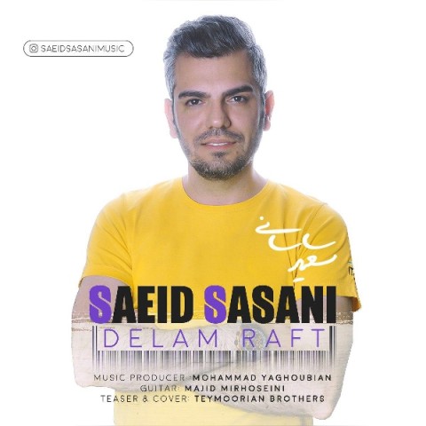 دانلود آهنگ دلم رفت از {singer-fa}