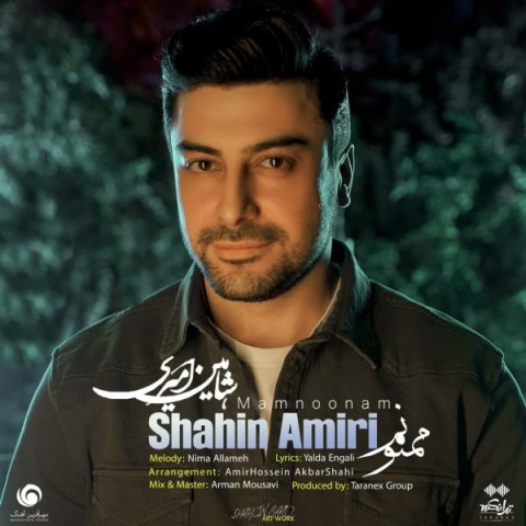 دانلود آهنگ ممنونم از شاهین امیری | ملودیکده دانلود آهنگ ممنونم از {singer-fa}