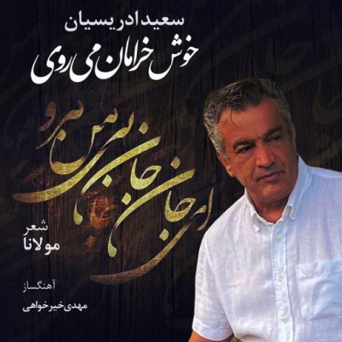 دانلود آهنگ خوش خرامان میروی از سعید ادریسیان | ملودیکده دانلود آهنگ خوش خرامان میروی از {singer-fa}