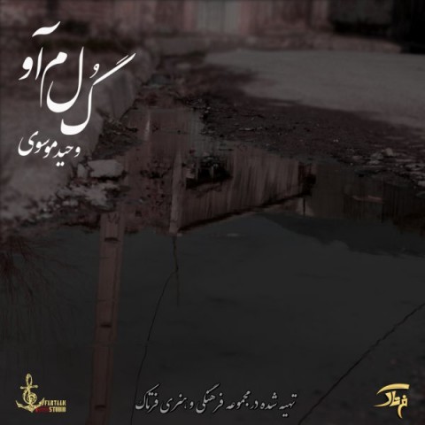 دانلود آهنگ گلمآو از وحید موسوی | ملودیکده دانلود آهنگ گلمآو از {singer-fa}