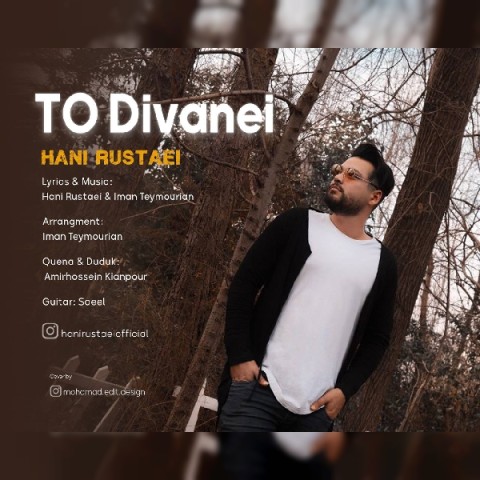 دانلود آهنگ تو دیوانه ای از هانی روستائی | ملودیکده دانلود آهنگ تو دیوانه ای از {singer-fa}