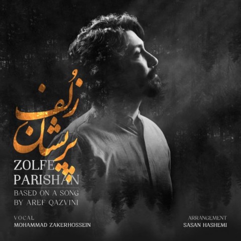 دانلود آهنگ زلف پریشان از محمد ذاکرحسین | ملودیکده دانلود آهنگ زلف پریشان از {singer-fa}