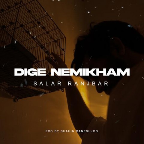 دانلود آهنگ دیگه نمیخوام از {singer-fa}