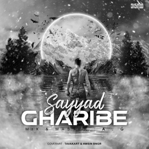 دانلود آهنگ غریبه از {singer-fa}