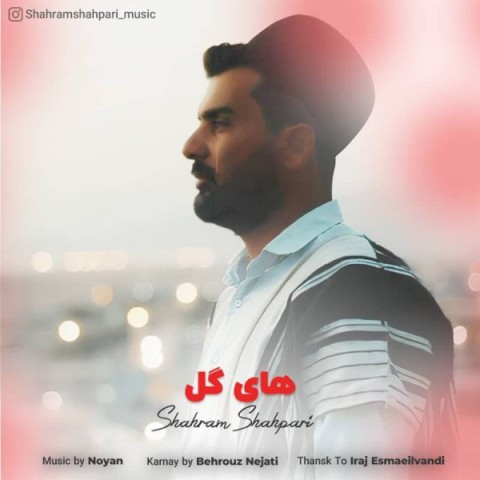 دانلود آهنگ های گل از شهرام شهپری | ملودیکده دانلود آهنگ های گل از {singer-fa}