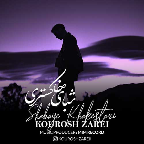 دانلود آهنگ شبای خاکستری از کوروش زارعی | ملودیکده دانلود آهنگ شبای خاکستری از {singer-fa}