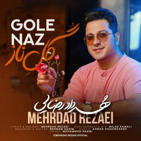 دانلود آهنگ گل ناز از {singer-fa}