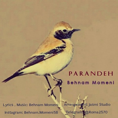 دانلود آهنگ پرنده از {singer-fa}