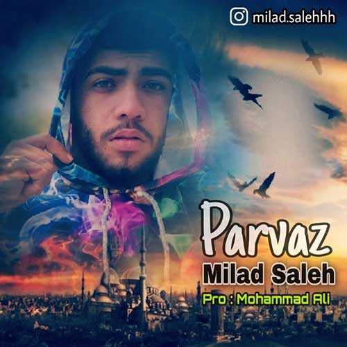 دانلود آهنگ پرواز از میلاد صالح | ملودیکده دانلود آهنگ پرواز از {singer-fa}