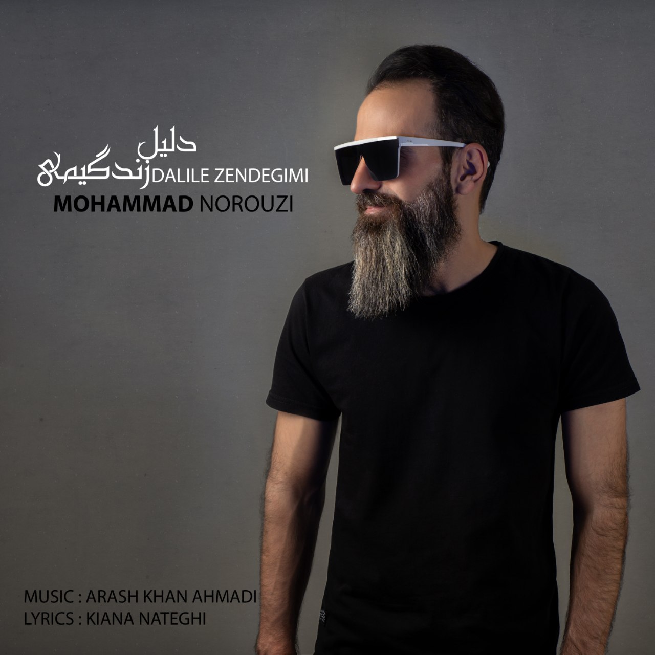 دانلود آهنگ دلیل زندگیمی از {singer-fa}