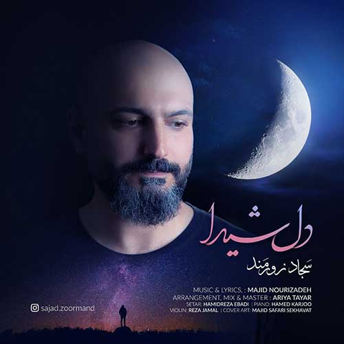 دانلود آهنگ دل شیدا از سجاد زورمند
