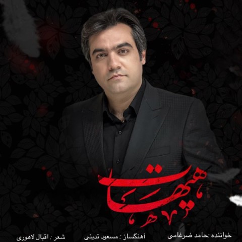 دانلود آهنگ هیهات از حامد ضرغامی