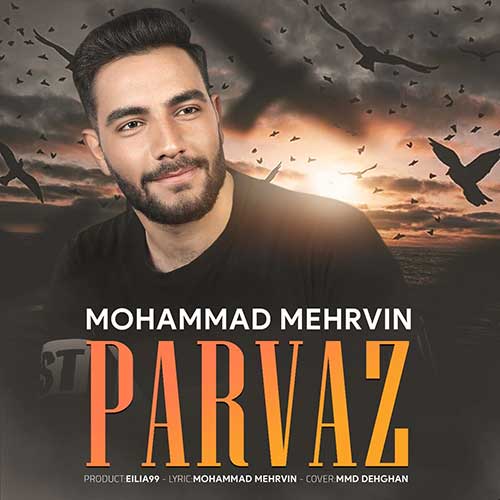 دانلود آهنگ پرواز از محمد مهروین