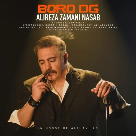 دانلود آهنگ برو دیگه از علیرضا زمانی نسب