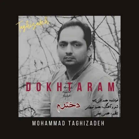 دانلود آهنگ دخترم از محمد تقی زاده
