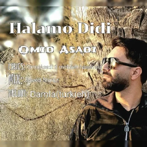 دانلود آهنگ حالمو دیدی از امید اسدی