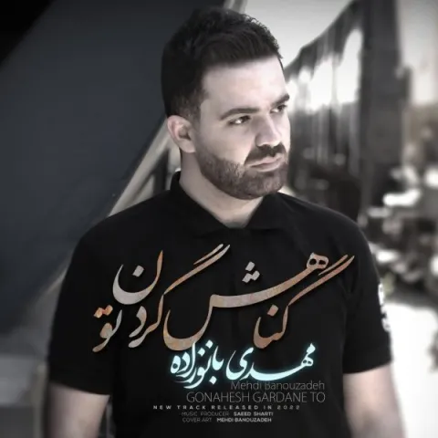 دانلود آهنگ گناهش گردن تو از مهدی بانوزاده | ملودیکده دانلود آهنگ گناهش گردن تو از مهدی بانوزاده