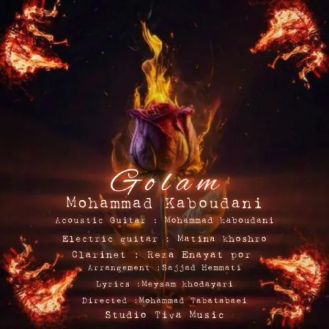 دانلود آهنگ گلم از محمد کبودانی