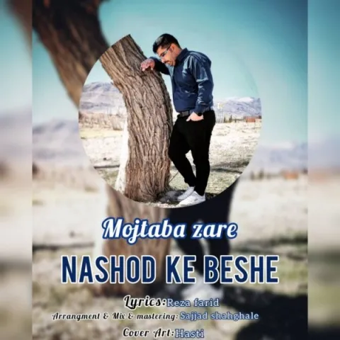 دانلود آهنگ نشد که بشه از مجتبی زارع