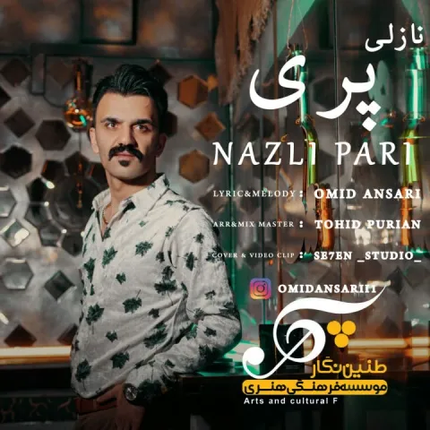دانلود آهنگ نازلی پری از امید انصاری