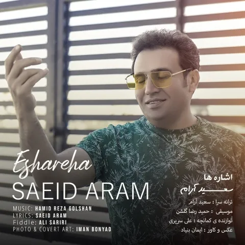 دانلود آهنگ اشاره ها از سعید آرام
