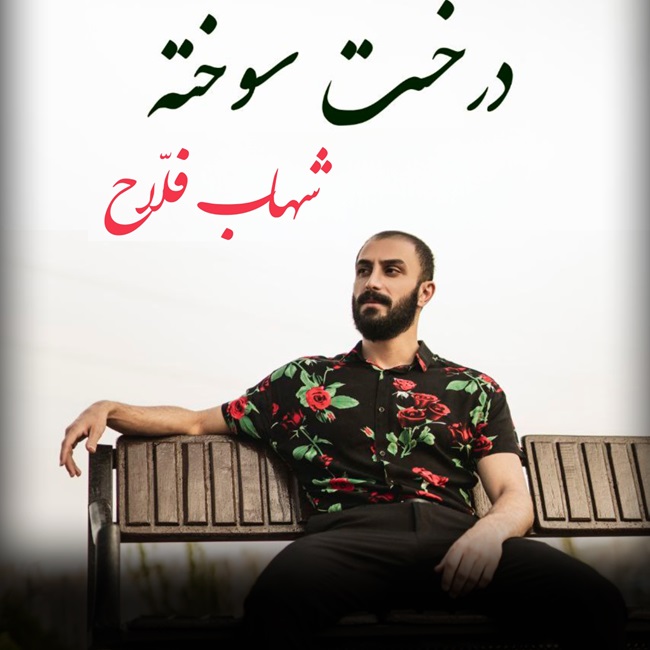 دانلود آهنگ درخت سوخته از شهاب فلاح | ملودیکده دانلود آهنگ درخت سوخته از شهاب فلاح