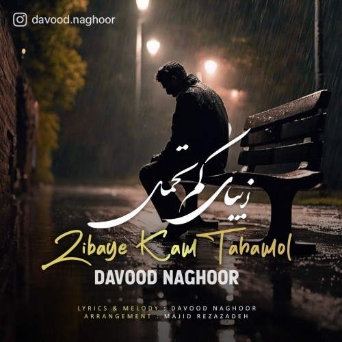 دانلود آهنگ زيباى كم تحملِ از داوود ناقور