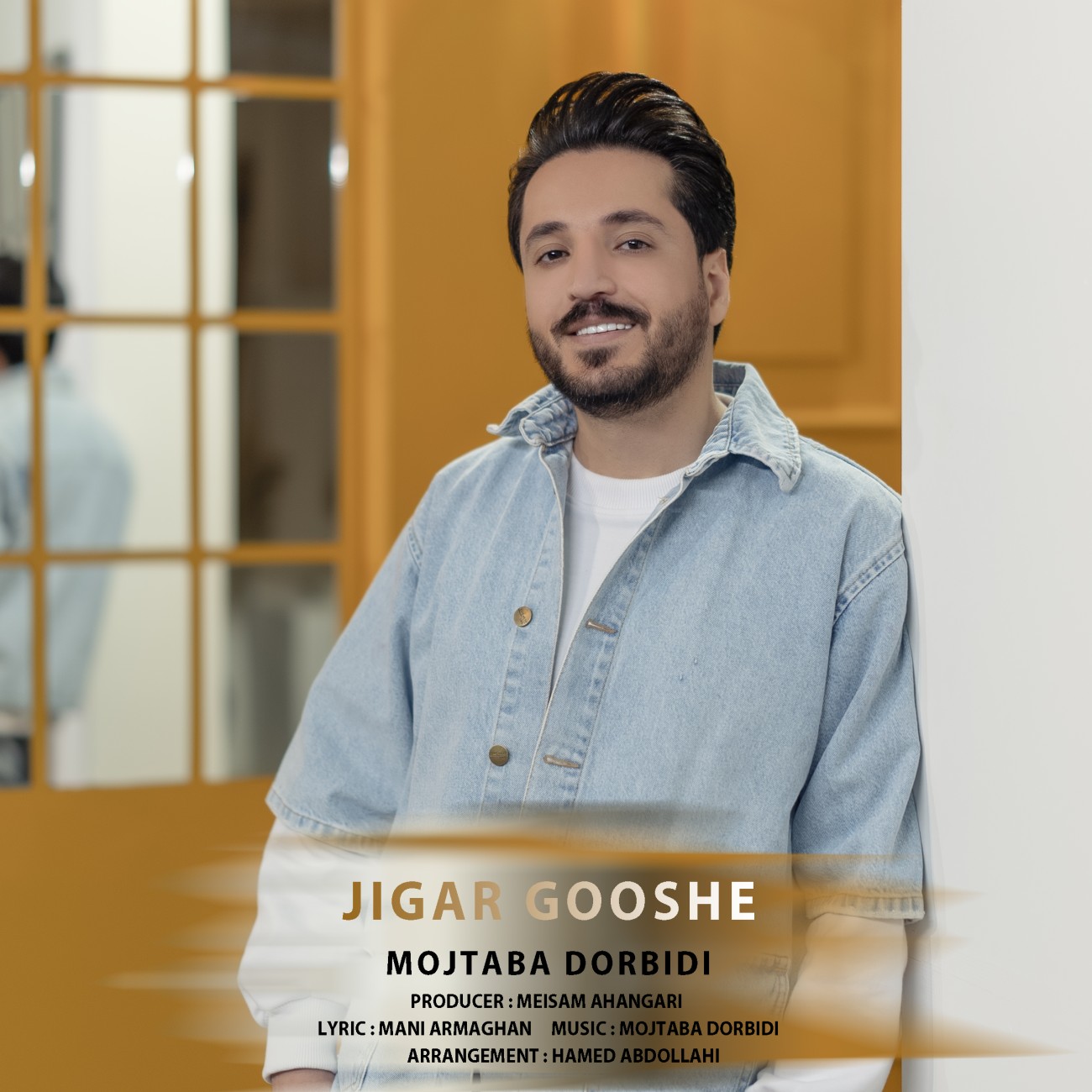 دانلود آهنگ جیگر گوشه از مجتبی دربیدی