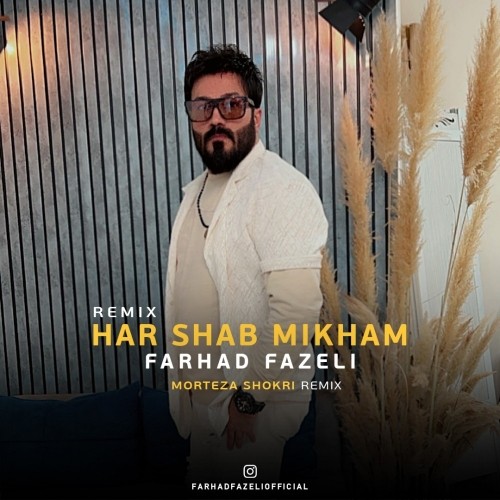 دانلود آهنگ هر شب میخوام (مرتضی شکری ریمیکس) از فرهاد فاضلی