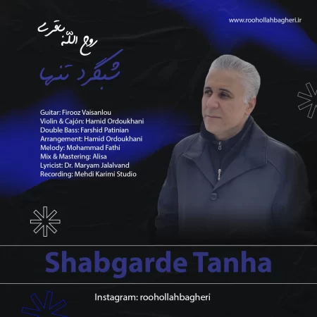 دانلود آهنگ شبگرد تنها از روح الله باقری | ملودیکده دانلود آهنگ شبگرد تنها از روح الله باقری