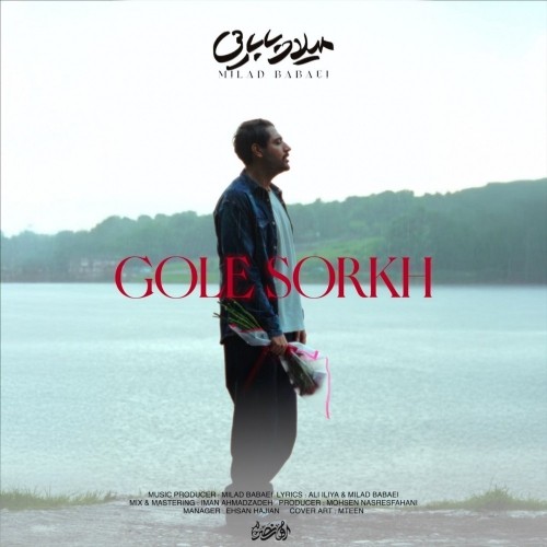 دانلود آهنگ گل سرخ از میلاد بابایی | ملودیکده دانلود آهنگ جدید میلاد بابایی به نام گل سرخ