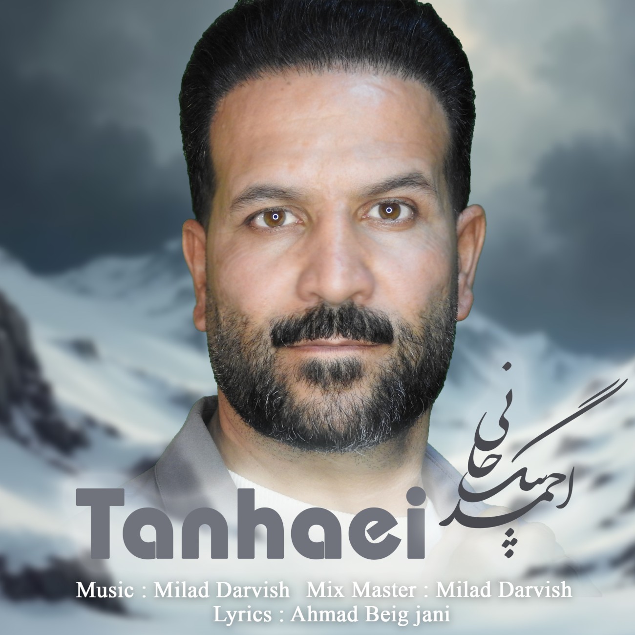 دانلود آهنگ تنهایی از احمد بیگجانی | ملودیکده