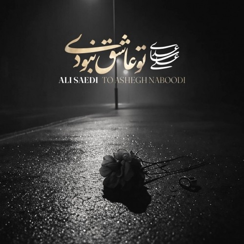دانلود آهنگ جدید علی ساعدی به نام تو عاشق نبودی