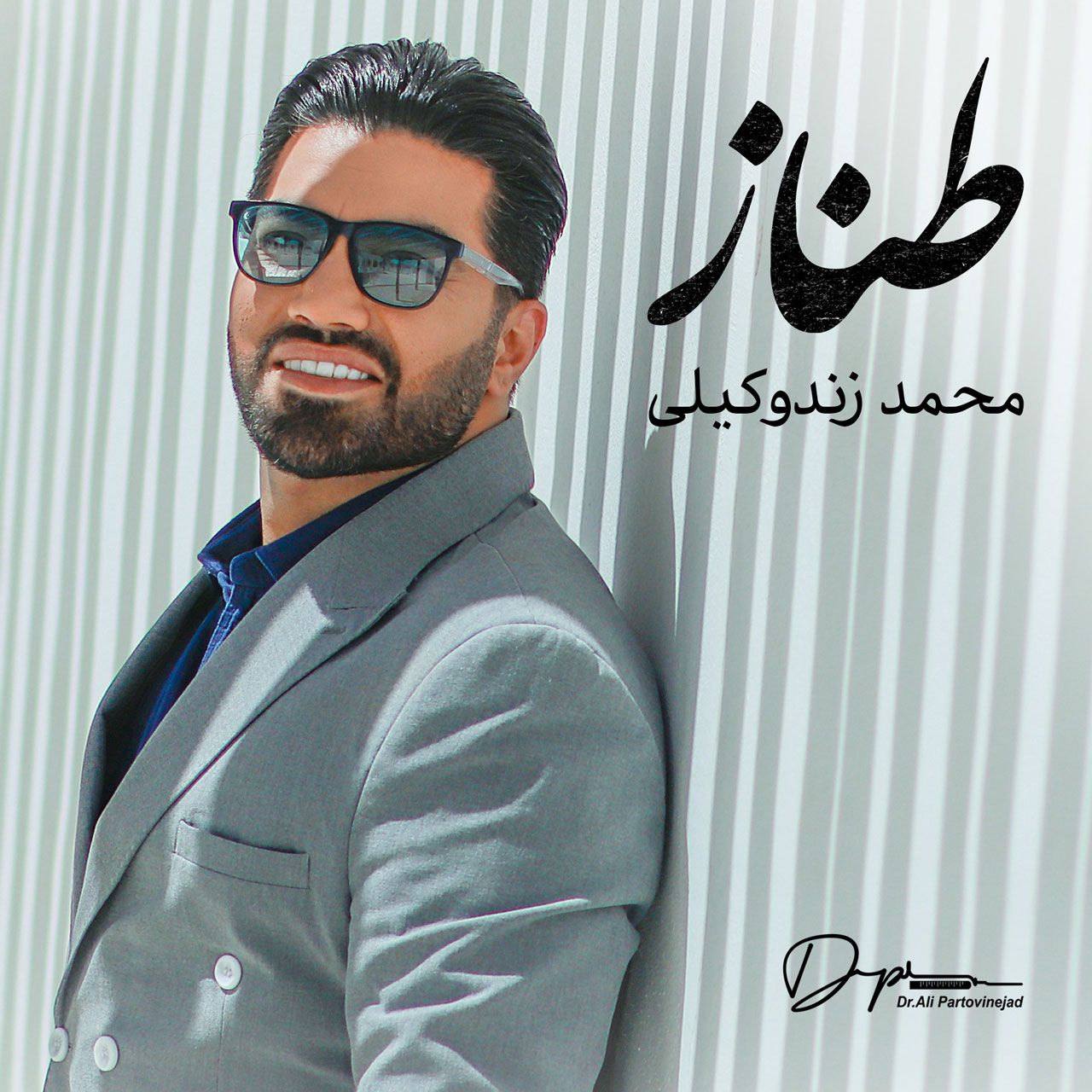 دانلود آهنگ طناز از محمد زندوکیلی | ملودیکده