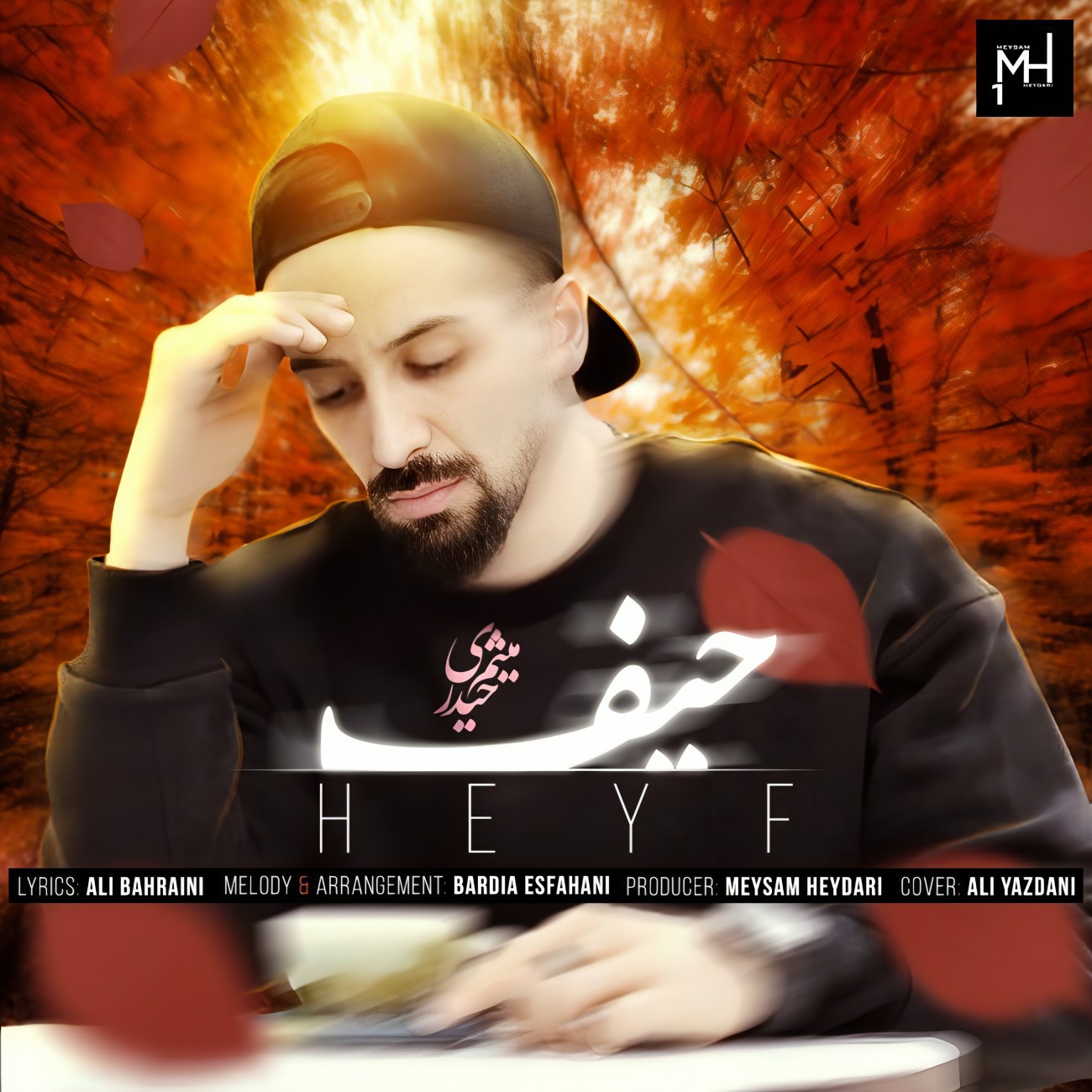 دانلود آهنگ حیف از میثم حیدری | ملودیکده دانلود آهنگ جدید میثم حیدری به نام حیف