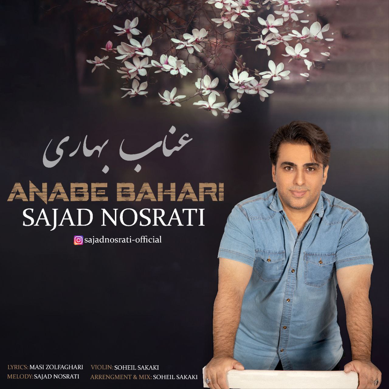 دانلود آهنگ عناب بهاری از سجاد نصرتی | ملودیکده دانلود آهنگ جدید سجاد نصرتی به نام عناب بهاری