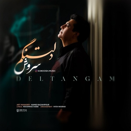 دانلود آهنگ دلتنگم از سروش | ملودیکده دانلود آهنگ جدید سروش به نام دلتنگم