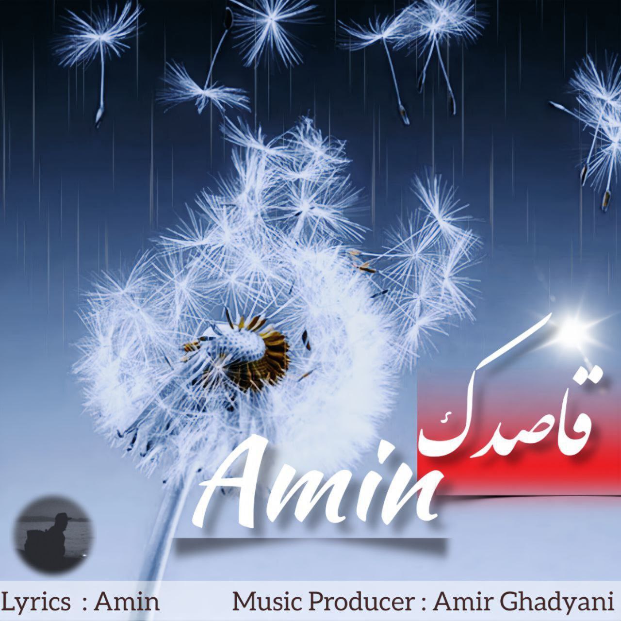 دانلود آهنگ قاصدک از امین | ملودیکده دانلود آهنگ جدید امین به نام قاصدک